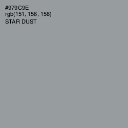 #979C9E - Star Dust Color Image